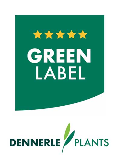 Green Label Web