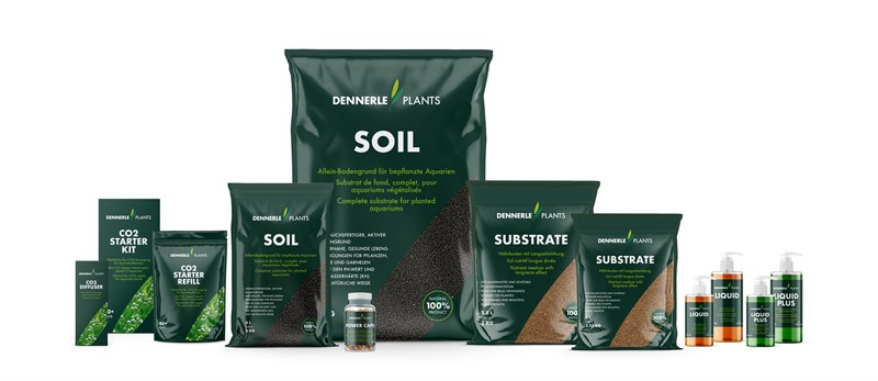 Dennerle Plant Care Pro Root - Boutique en ligne Olibetta