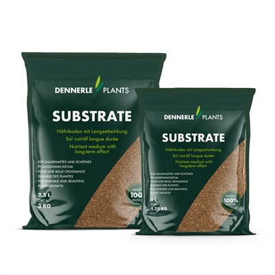Dennerle Substrate System Range 2