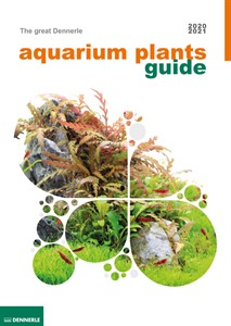 2020 Ratgeber Aquarienpflanzen EN Web