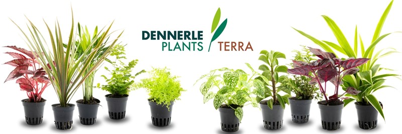 TERRA Range